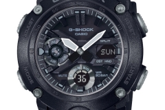 GA-2000-10